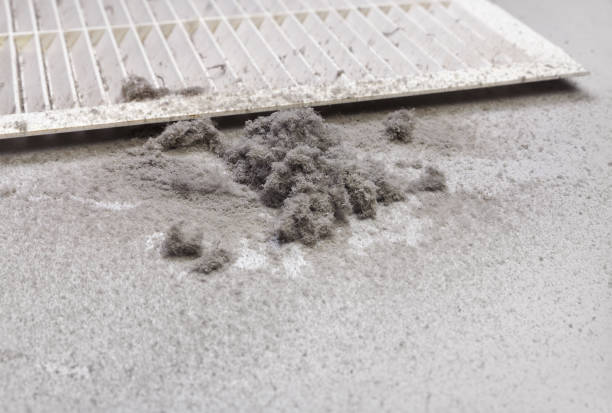 Best Professional Duct Cleaning Services  in Cherokee, NC