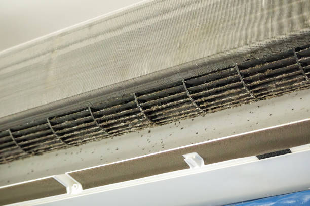 Best HVAC Duct Inspection Services  in Cherokee, NC